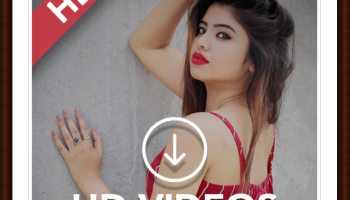 süngerbob korsan macerası