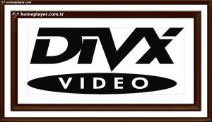 wqzwwwxDIVX logo 00061 00553